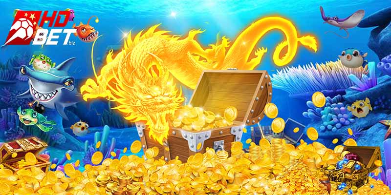 Chia sẻ các mẹo săn cá bách phát bách trúng
