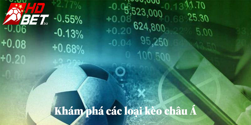 Khám phá các loại kèo châu Á phổ biến tại HDBet