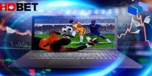 Hình ảnh chân thật - Livestream cá cược bóng đá 4K hoạt động thế nào?