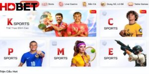 Sơ lược về cá cược thể thao trên HDBET