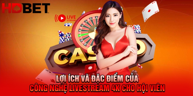 Lợi ích và đặc điểm của công nghệ livestream 4K cho hội viên