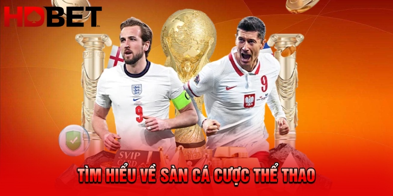 Tìm hiểu về sàn cá cược thể thao